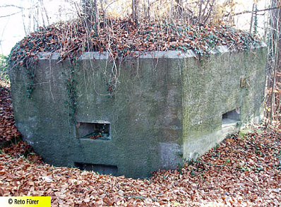 Bkr Loewenberg 0003 2