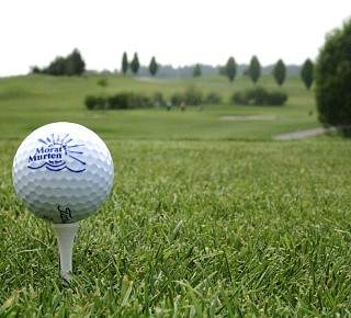 36174538746 7414f178ff k