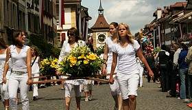 diverses 051 35380470734 o