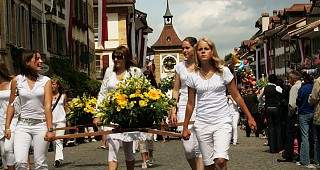 diverses 051 35380470734 o