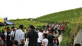 diverses 102 35380469684 o