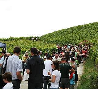 diverses 102 35380469684 o