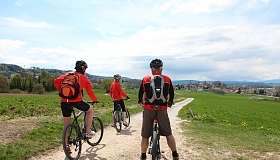 img 4250 36174549626 o