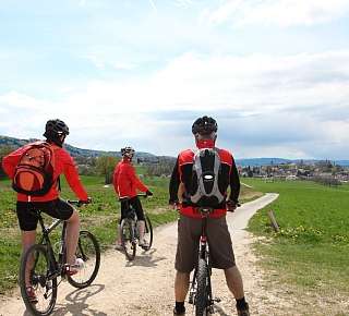 Bike tours around Lake Murten
