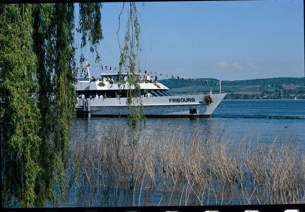 murten schifffribourg 36081009191 o