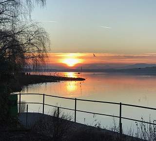 aa606b45 8bd1 4d14 9c72 058ff1d0654a