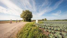 k  85a4382 35823131320 o