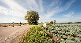 k  85a4382 35823131320 o