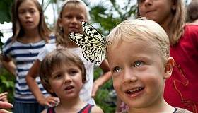 k gruppenevents pappillorama 36174538536 o