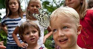 k gruppenevents pappillorama 36174538536 o