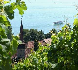 k murten vully vignoble1 36080971571 o