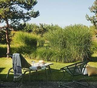 Hotel Bad Murtensee hosts